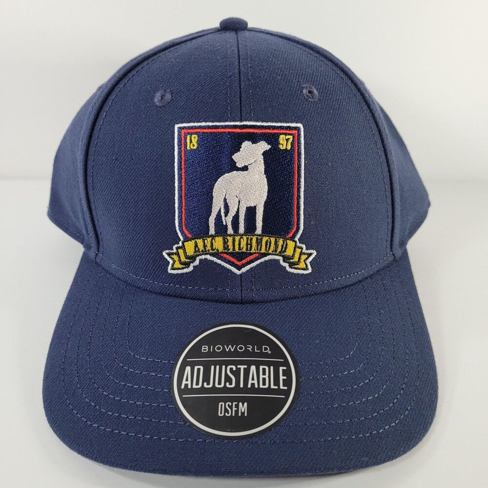 Bioworld Ted Lasso AFC Richmond Hat Cap Snap Back Mens One Size Blue Believe